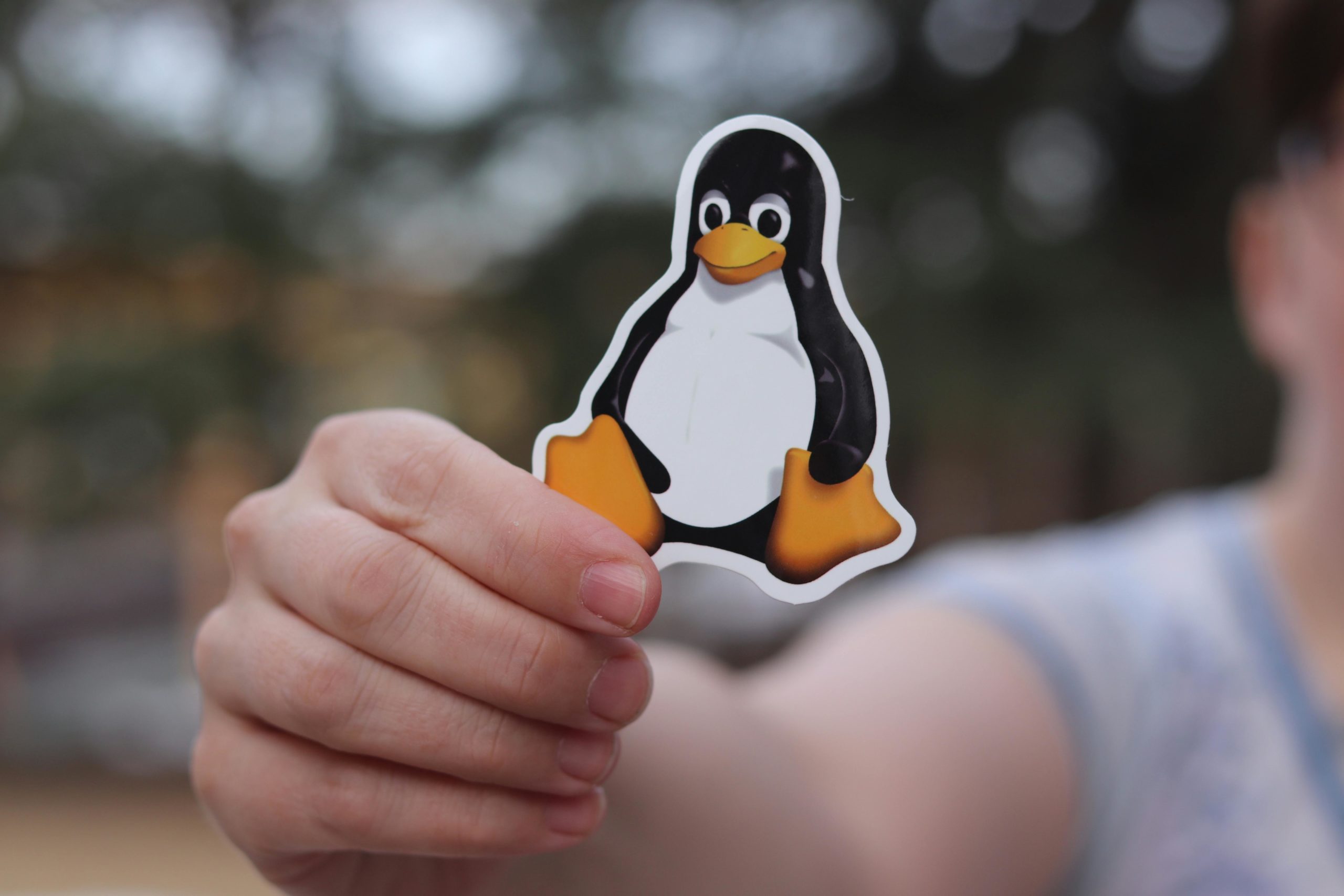 Linux Server Monitoring